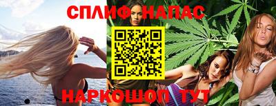 стаф Кунгур