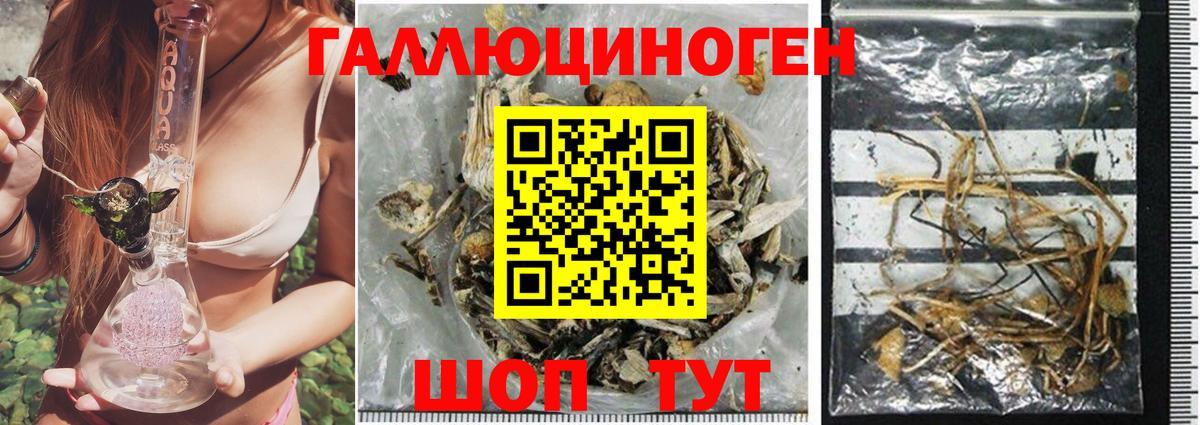 Псилоцибиновые грибы Magic Shrooms Дедовск