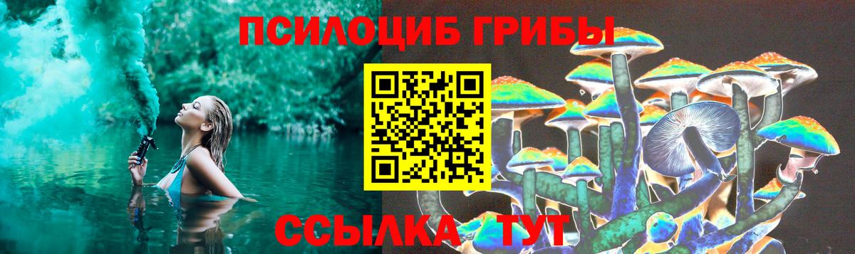 Дедовск  где купить наркоту  Вход с VPN  Псилоцибиновые грибы Cubensis 